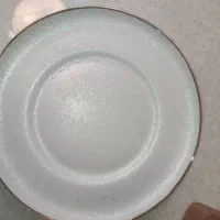ظروف چینی