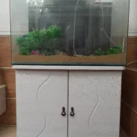 آکواریوم دلسا k800