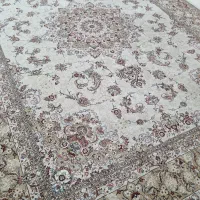 یک جفت ۱۲متری ۷۰۰شانه بی نظیرسنگین وزن