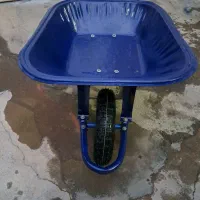 فرغون درجه یک بدونه مشکل
