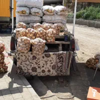 به یک نفر همکار در بساط میوه فروشی نیازمندیم.