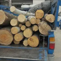 خرید و بریدن انواع چوب