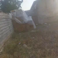 کاه