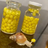 خاویار حلزون