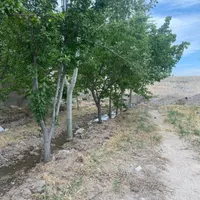 باغ و باغچه از ۲۵۰ متر با آب لوله کشی|فروش دفتر صنعتی، کشاورزی، تجاری|تهران, وحیدیه|دیوار