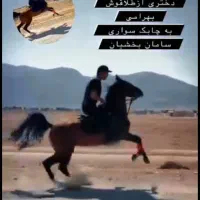 اسب مادیون دره شوری