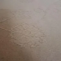 حدودا۲۵مترموکت تمیز
