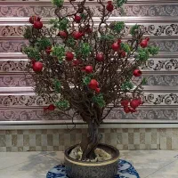 گل مصنوعی  / کیفیت درجه یک (مشابه طبیعی)