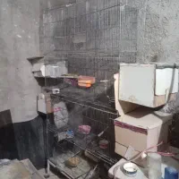 قفس هشت خوان
