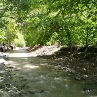 تور