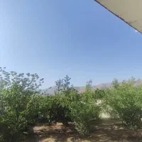باغشه فشند ۳۰۰متر با بنا