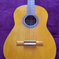 گیتار سی جی ۱۰۰