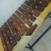 زایلافون