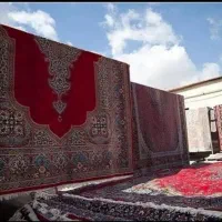 قالیشویی تمام اتوماتیک دلفین