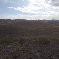 تخمه هندوانه بذری  آفتابی
