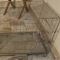 قفس پرنده