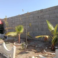 250-متری-آماده-باغچه-در-شهریار