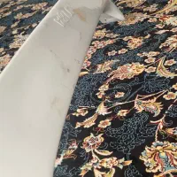 بال عقب تیبا۲