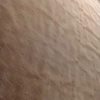 موکت