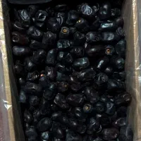 فروش عمده ی خرمای کلوته و مضافتی فله