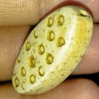 مهره کهنه