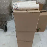 لیوان 220