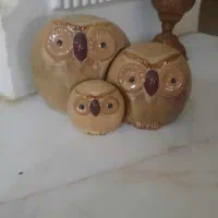 جغد زیبا جنس خوب