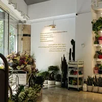 ادمین پیج و تولید محتوا گالری گل