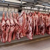 استخدام نیروی کار