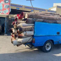 قالیشویی و مبلشویی سیتی قشم