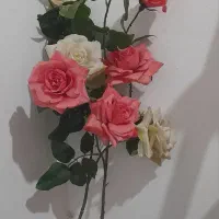 گل رز