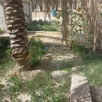 گلخانه جهاد آباد بخشان