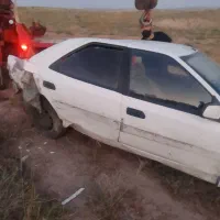 زانتیا تصادفی