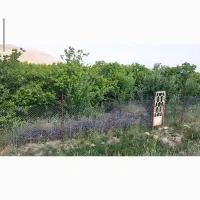 فروش-باغ-بیضا-روستای-ممو