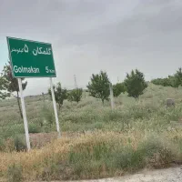 زمین باغ جاده گلمکان