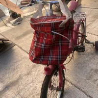 دوچرخه دخترانه