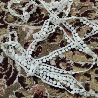 نوار مغزی عدسی نو