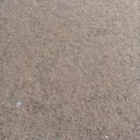 گندم|خدمات باغبانی و درختکاری|اهواز, فاز ۱ پادادشهر|دیوار