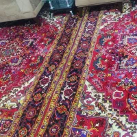 فرش|فرش|اهر, |دیوار