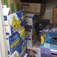 تعدادی کارتن و ضربه گیر اسباب کشی
