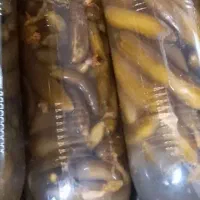 خیارشوری