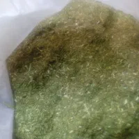 شوید و لوبیا چشم بلبلی تمیز