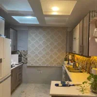 زبرا دومکانیسم تصویری وطرحدار