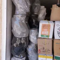 گلدان درختچه بزرگ طرح سر سفالی