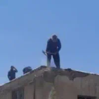 کارگری تخریب ساختمان نظافت خانه و باغ. درخت کاری