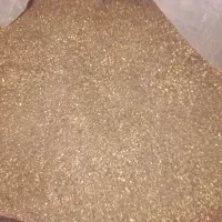 براده طلا