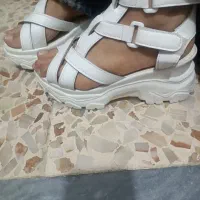 کفش تابستونی