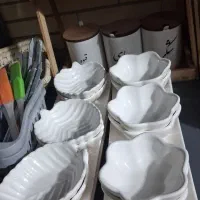 ست پذیرای