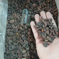 کشمش آفتابی آبگیری
