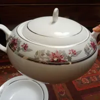 ظروف چینی زرین|ظروف سرو و پذیرایی|اصفهان, بهارستان|دیوار